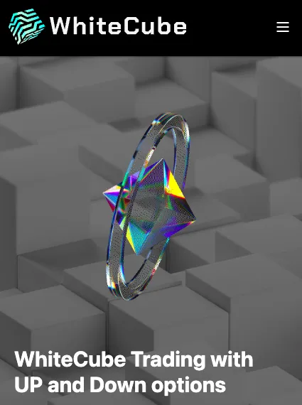 【White Cube】未来の家計安心プログラムは詐欺?仮想通貨取引所は嘘か調査