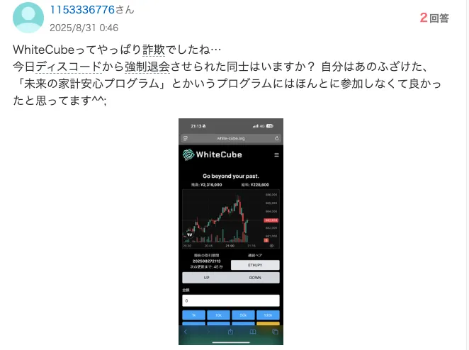 【White Cube】未来の家計安心プログラムは詐欺?仮想通貨取引所は嘘か調査