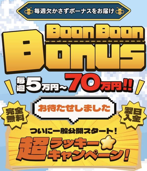 Boon Boon Bonus副業の内容について