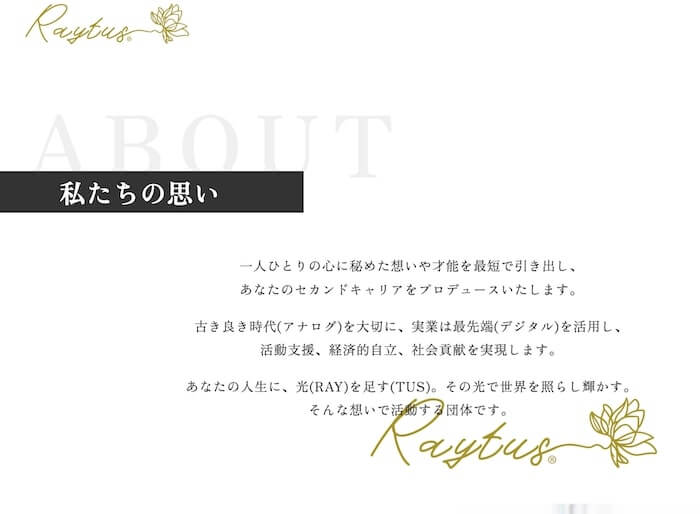 RAYTUS合同会社の内容について