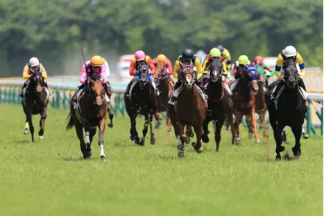 JRA(日本中央競馬会)のイメージ画像